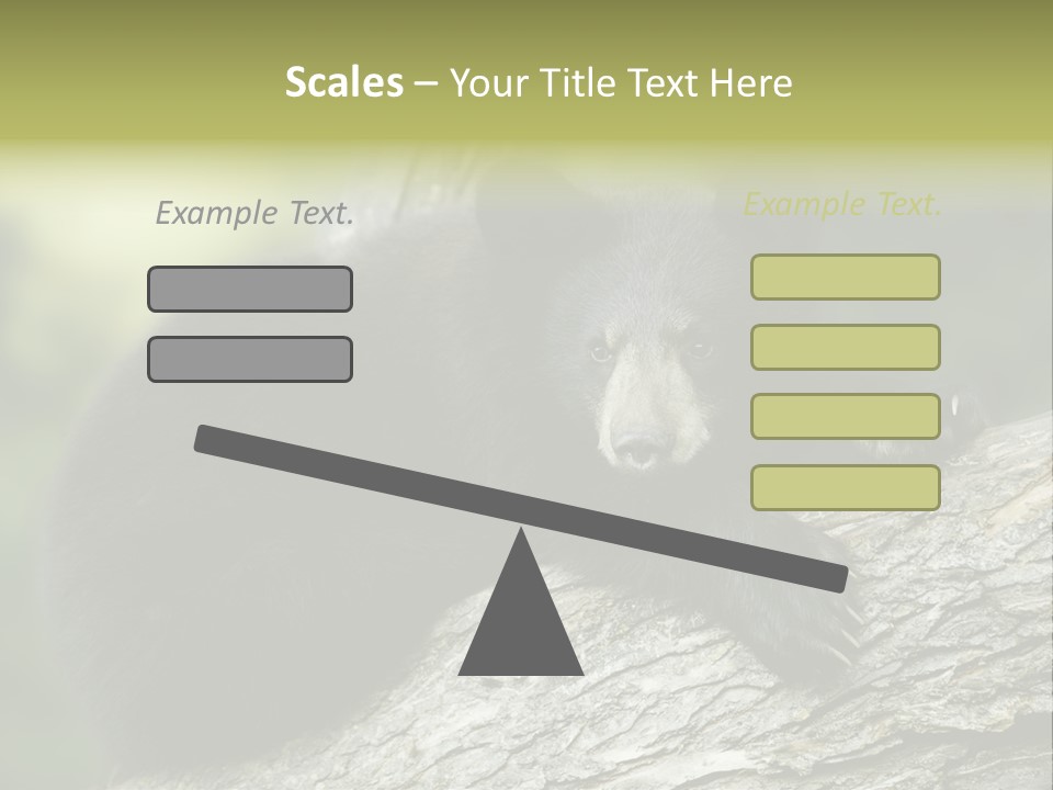 Ursus Playful Meadow PowerPoint Template