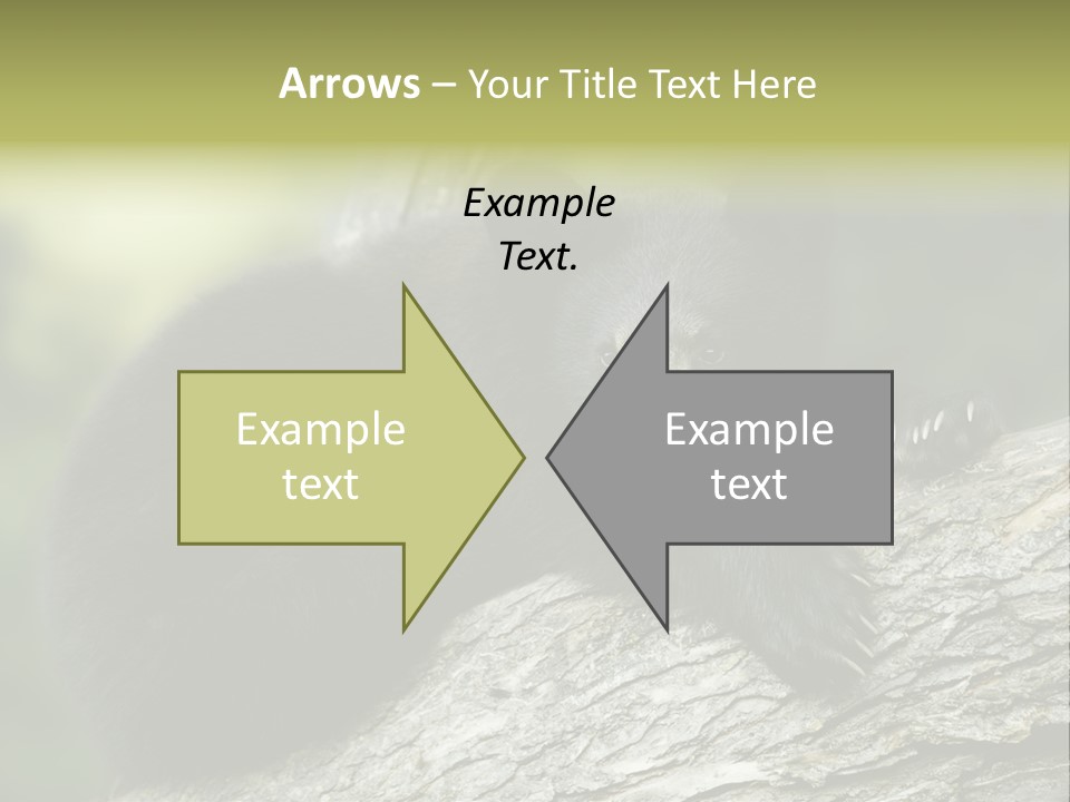 Ursus Playful Meadow PowerPoint Template