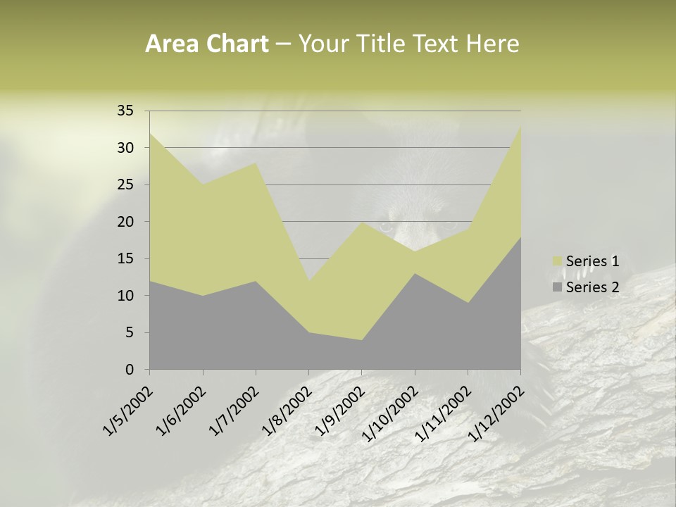 Ursus Playful Meadow PowerPoint Template