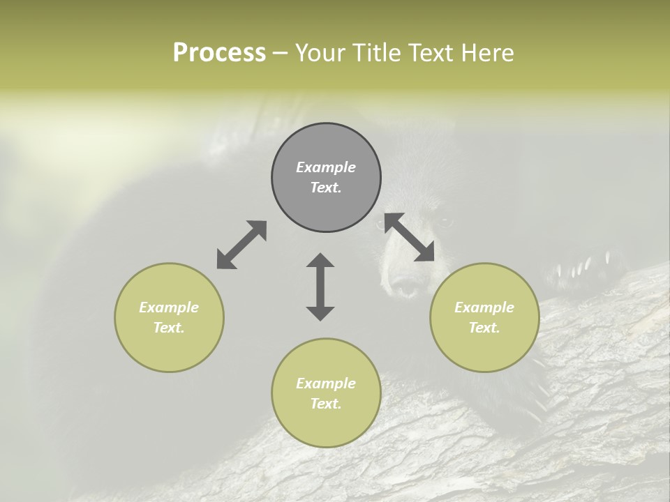 Ursus Playful Meadow PowerPoint Template