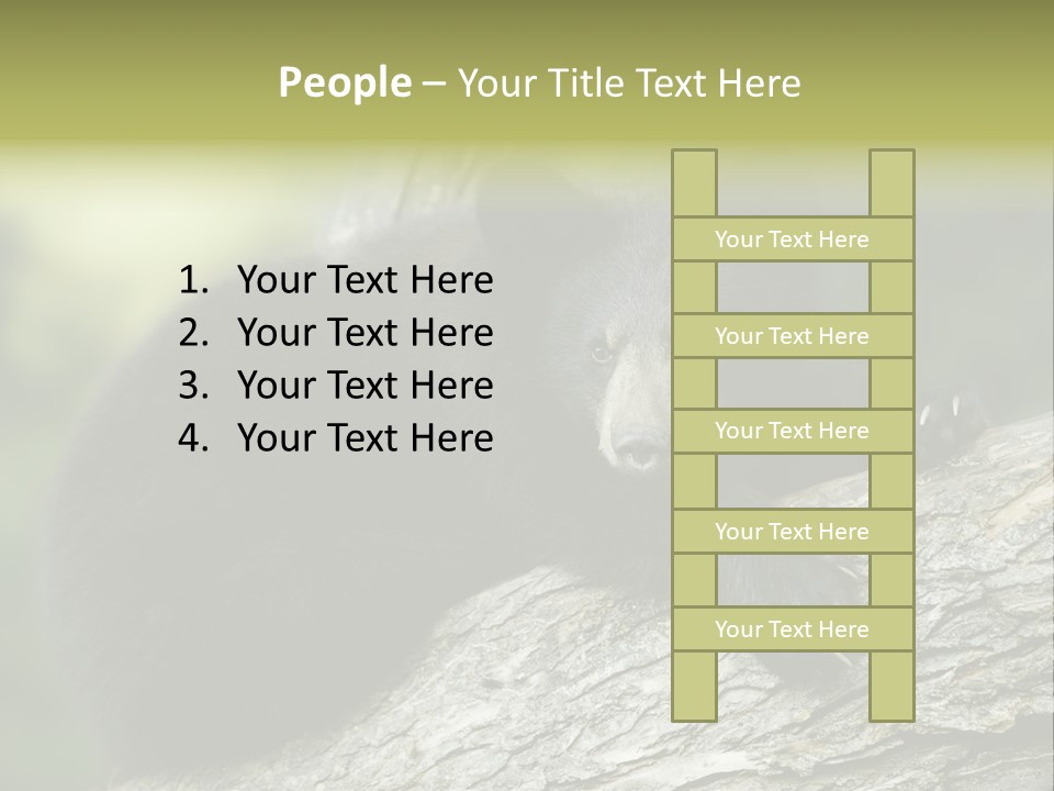 Ursus Playful Meadow PowerPoint Template