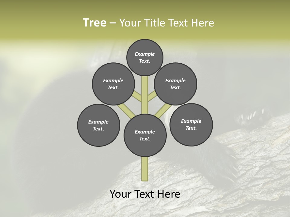 Ursus Playful Meadow PowerPoint Template