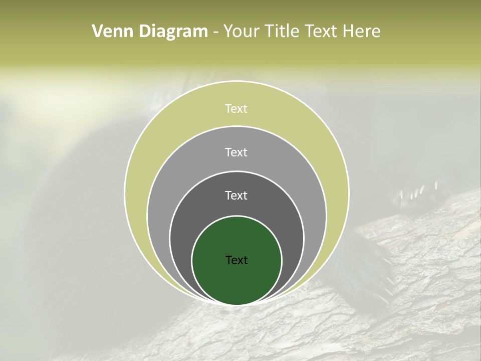 Ursus Playful Meadow PowerPoint Template