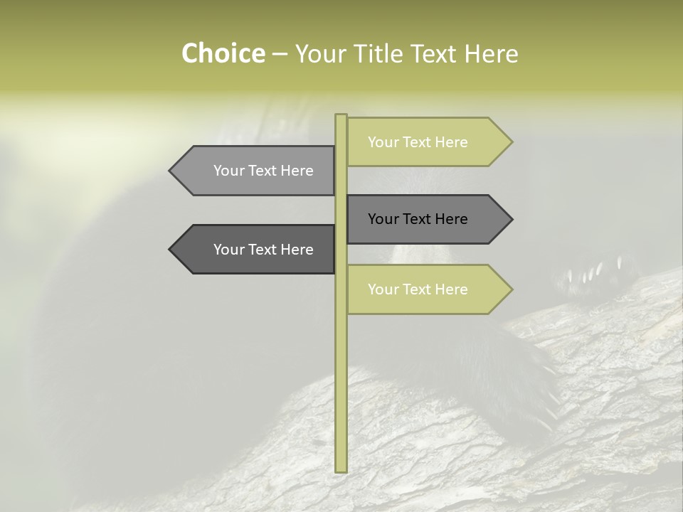 Ursus Playful Meadow PowerPoint Template