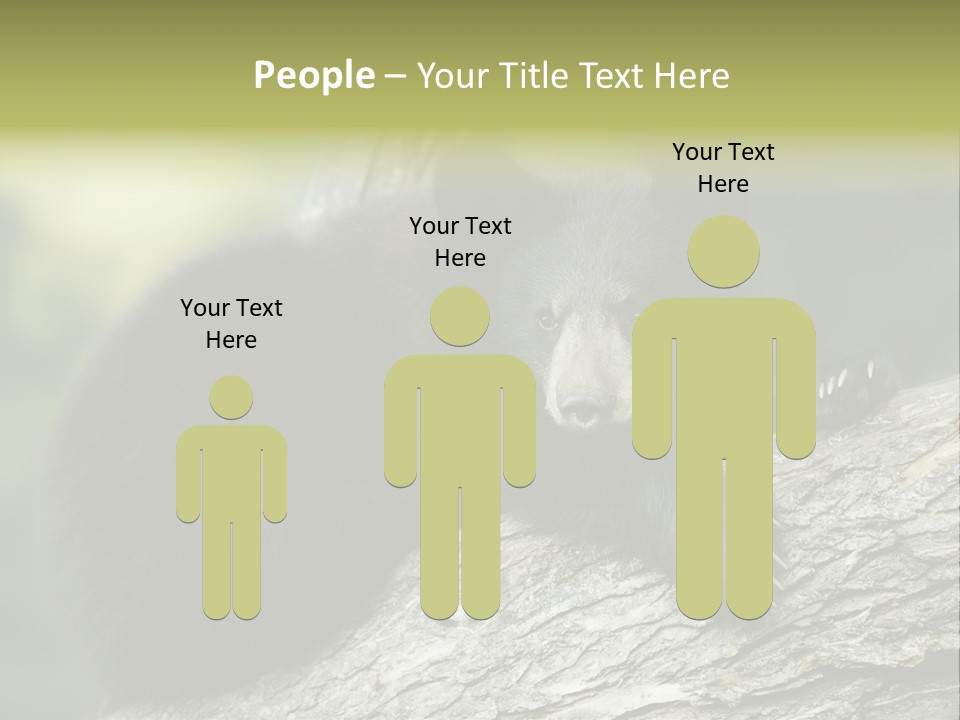 Ursus Playful Meadow PowerPoint Template