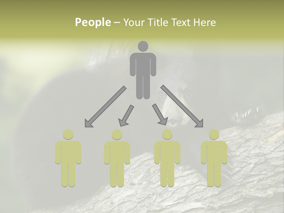 Ursus Playful Meadow PowerPoint Template