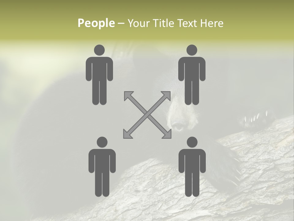 Ursus Playful Meadow PowerPoint Template