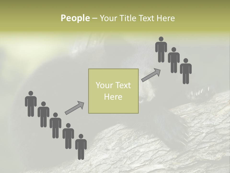 Ursus Playful Meadow PowerPoint Template