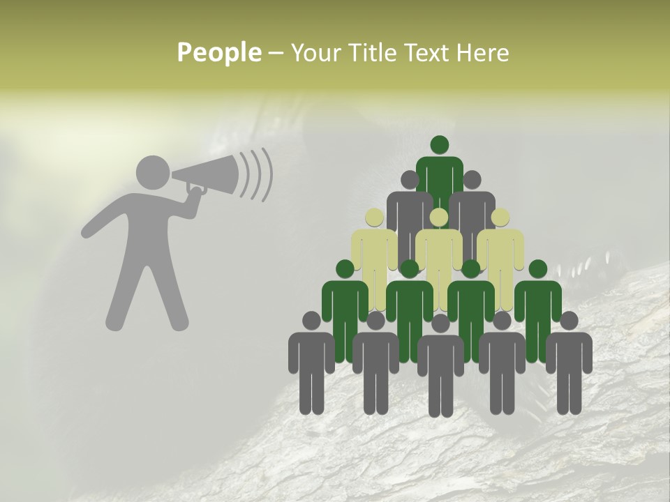 Ursus Playful Meadow PowerPoint Template