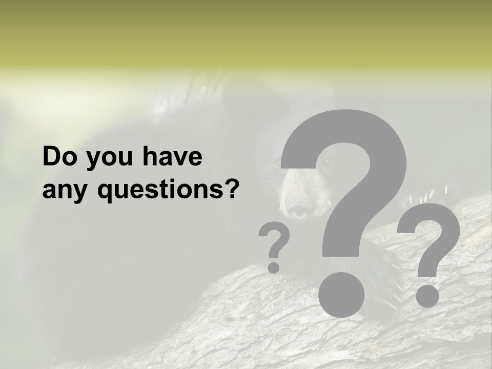 Ursus Playful Meadow PowerPoint Template