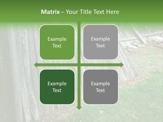 Tall Ranch Leaves PowerPoint Template