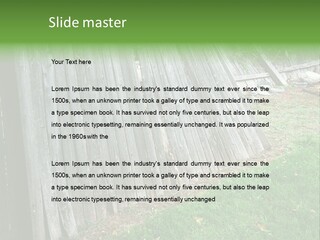 Tall Ranch Leaves PowerPoint Template