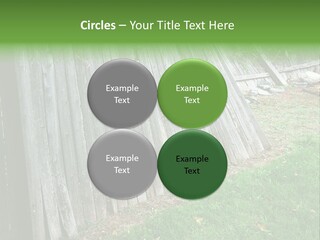 Tall Ranch Leaves PowerPoint Template