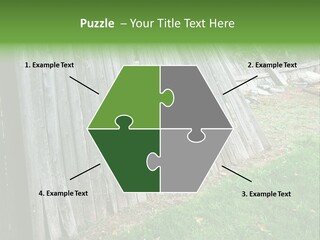 Tall Ranch Leaves PowerPoint Template