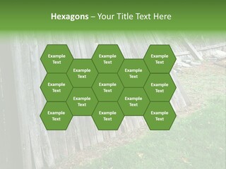 Tall Ranch Leaves PowerPoint Template