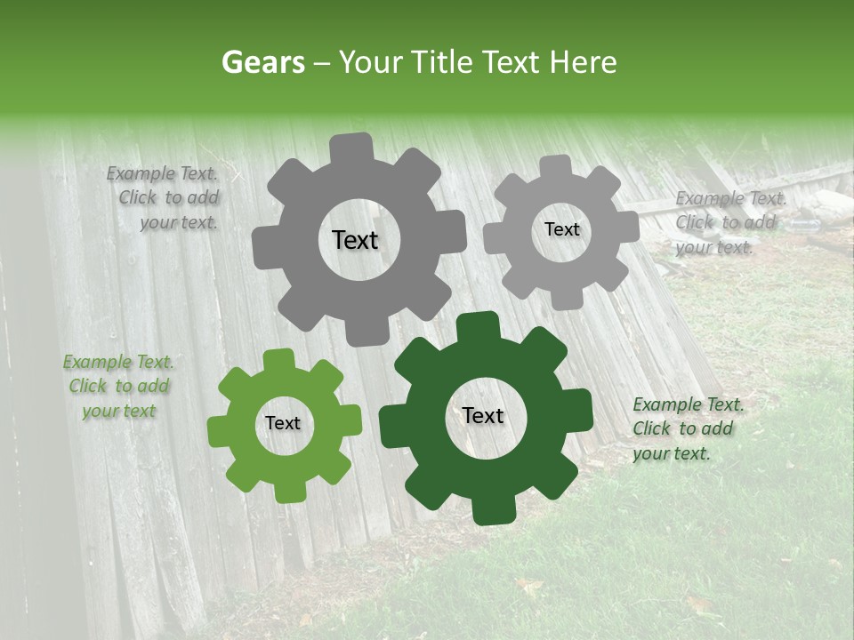 Tall Ranch Leaves PowerPoint Template