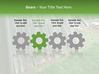 Tall Ranch Leaves PowerPoint Template