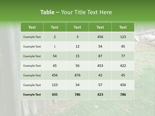 Tall Ranch Leaves PowerPoint Template