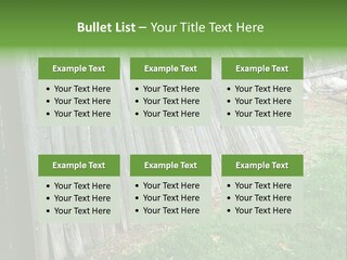 Tall Ranch Leaves PowerPoint Template