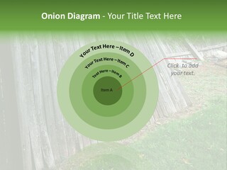 Tall Ranch Leaves PowerPoint Template
