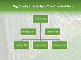 Tall Ranch Leaves PowerPoint Template