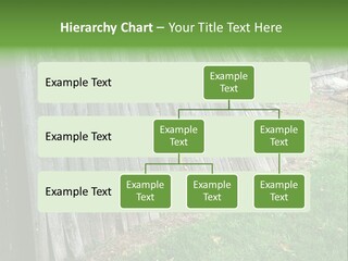 Tall Ranch Leaves PowerPoint Template