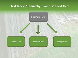 Tall Ranch Leaves PowerPoint Template