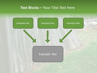 Tall Ranch Leaves PowerPoint Template