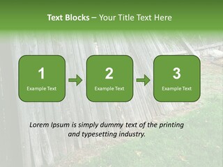 Tall Ranch Leaves PowerPoint Template