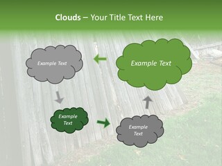 Tall Ranch Leaves PowerPoint Template