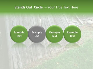Tall Ranch Leaves PowerPoint Template