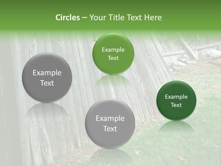 Tall Ranch Leaves PowerPoint Template