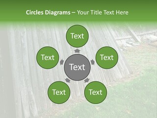 Tall Ranch Leaves PowerPoint Template