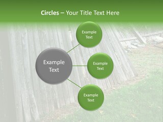 Tall Ranch Leaves PowerPoint Template