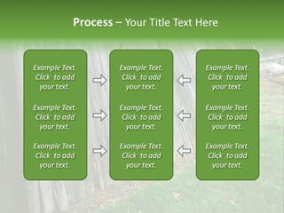 Tall Ranch Leaves PowerPoint Template
