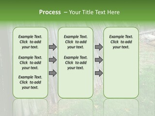 Tall Ranch Leaves PowerPoint Template