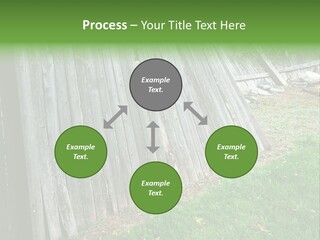 Tall Ranch Leaves PowerPoint Template