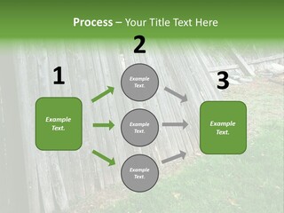 Tall Ranch Leaves PowerPoint Template