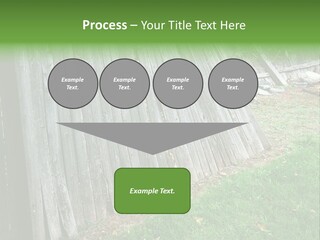 Tall Ranch Leaves PowerPoint Template