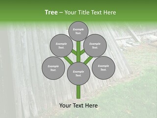 Tall Ranch Leaves PowerPoint Template