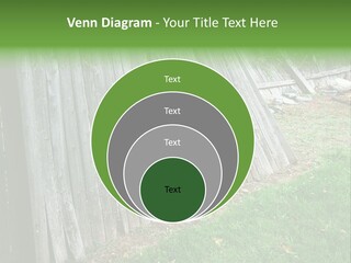 Tall Ranch Leaves PowerPoint Template