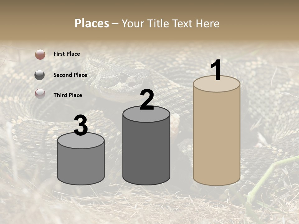 Scaly California Deadly PowerPoint Template