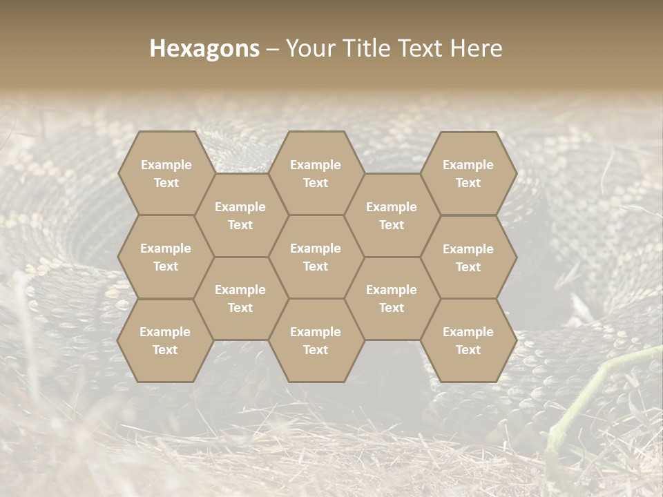 Scaly California Deadly PowerPoint Template
