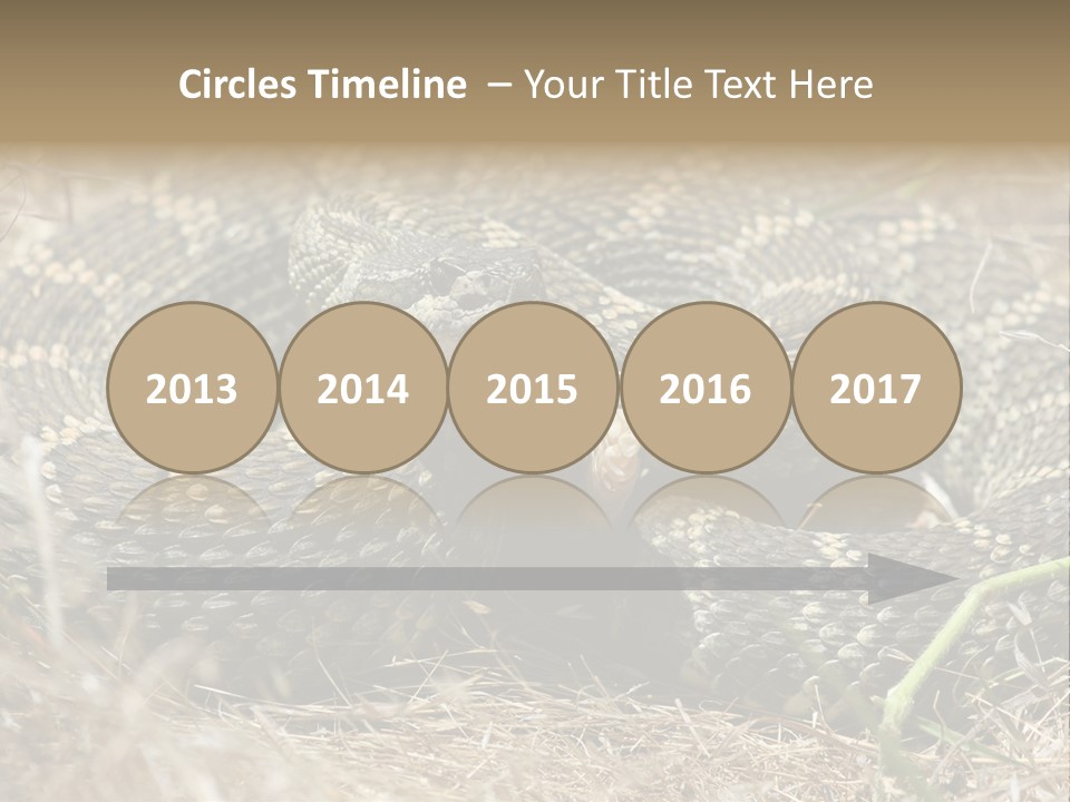 Scaly California Deadly PowerPoint Template