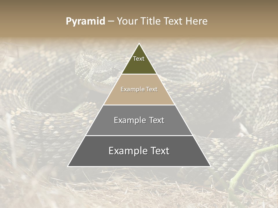 Scaly California Deadly PowerPoint Template
