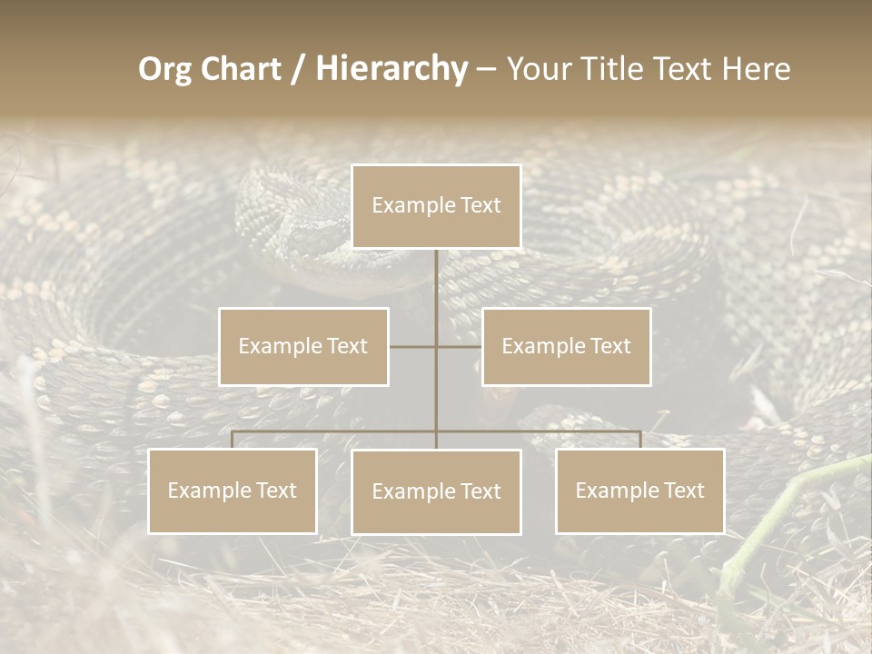 Scaly California Deadly PowerPoint Template