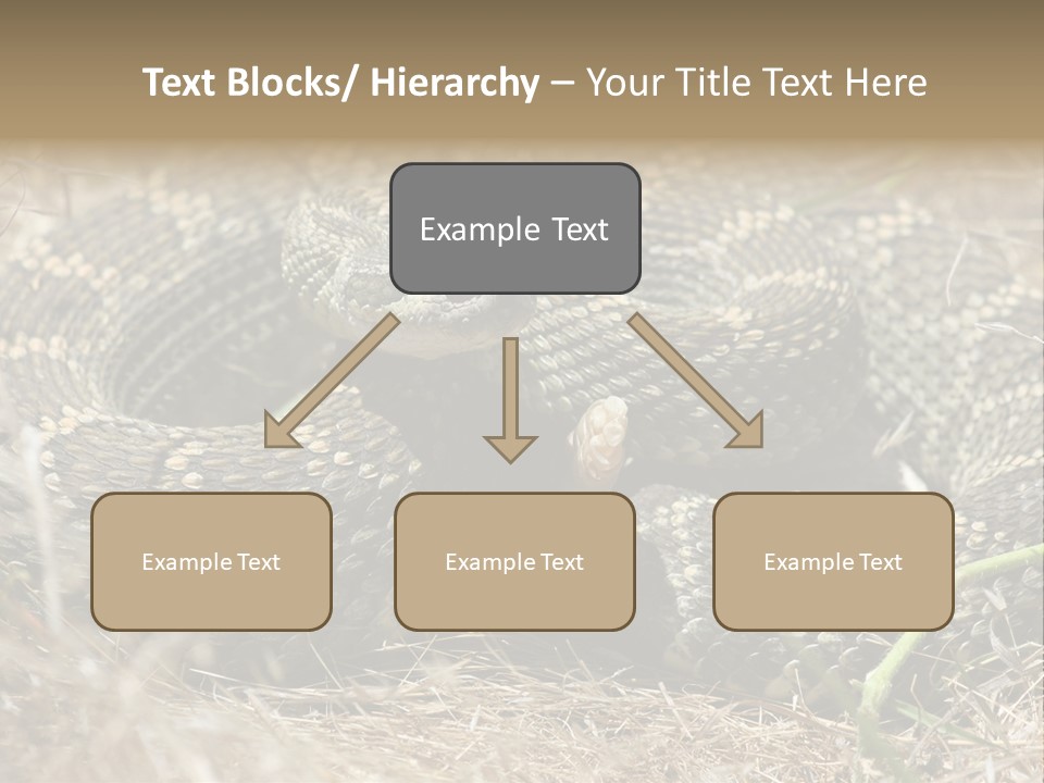 Scaly California Deadly PowerPoint Template