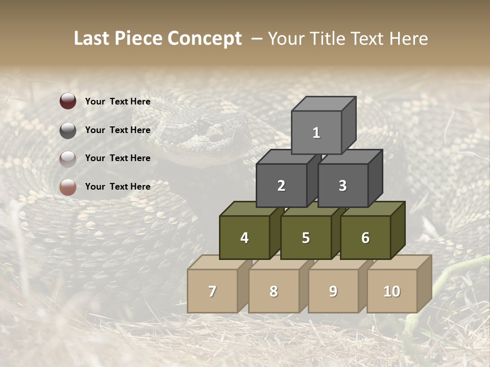 Scaly California Deadly PowerPoint Template