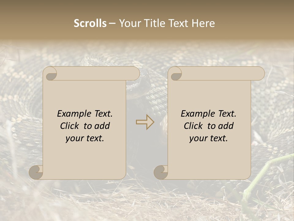 Scaly California Deadly PowerPoint Template