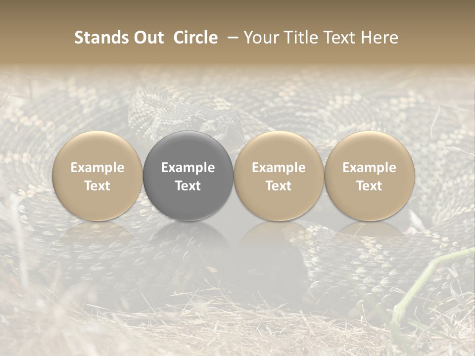 Scaly California Deadly PowerPoint Template